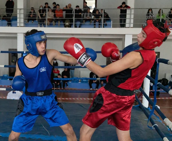 Batumi, Gürcistan - 12 Aralık 2021: Boks turnuvası