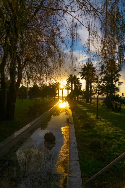 Krásný Západ Slunce Parku — Stock fotografie