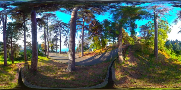 Jardín Botánico Batumi Adjara Georgia Panorama 360 —  Fotos de Stock