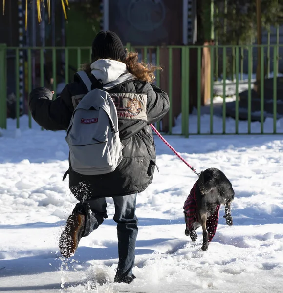 Batumi Γεωργία Ιανουαρίου 2022 Ένα Κορίτσι Τρέχει Ένα Σκύλο Στο — Φωτογραφία Αρχείου