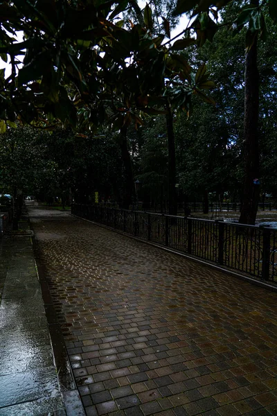 Sentier Dans Parc Après Pluie — Photo