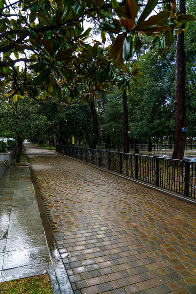 Sentiero Nel Parco Dopo Pioggia — Foto Stock