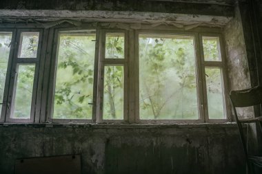 Terk edilmiş bir evin eski ahşap penceresi. Eski püskü duvarlar. Pencerenin dışında yeşil yapraklar.