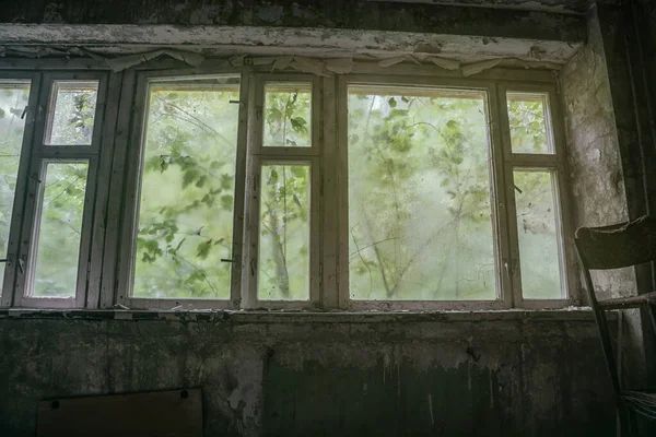 Vieja Ventana Madera Una Casa Abandonada Murallas Shabby Follaje Verde —  Fotos de Stock