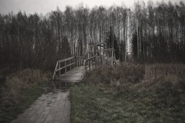 Old Gloomy Wooden Bridge River Detachment Water Gloomy Mysterious Forest — Stock Photo, Image