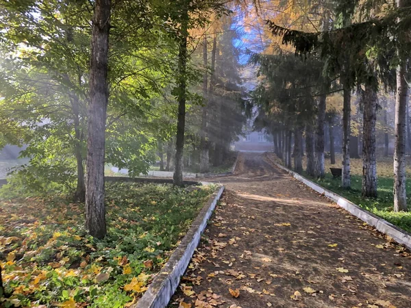 Foggy Πρωί Στο Πάρκο Φθινόπωρο Της Πόλης — Φωτογραφία Αρχείου