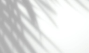 Fotoğraf, poster, kırtasiye, duvar sanatı ve tasarım sunumu için beyaz bir duvar arkaplanı üzerine gerçekçi bir palmiye gölgesi kaplaması