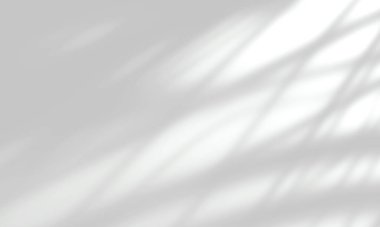 Fotoğraf, poster, kırtasiye, duvar sanatı ve tasarım sunumu için bir arkaplan üzerinde soyut palmiye yaprağı gri gölgesi şablonu