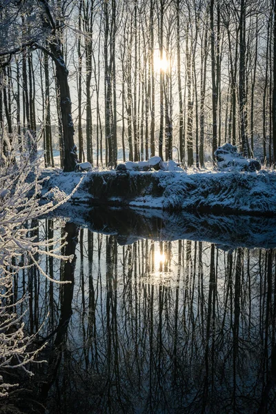 Winter Pollok Country Park Glasgow Scotland Sun Shining Trees Reflecting — стоковое фото