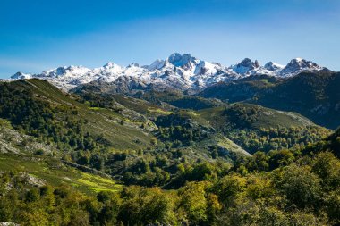 Covadonga, Asturias, İspanya 'da karlı dağlar.