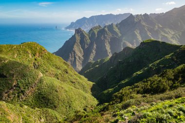 Hills and cliffs of Anaga Rural Park in Tenerife, Spain.