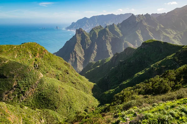 Hills Cliffs Anaga Rural Park Tenerife Spain — Stockfoto