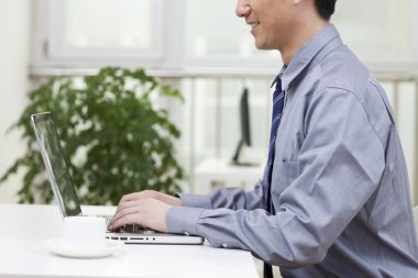 bir dizüstü bilgisayar kullanarak businesman