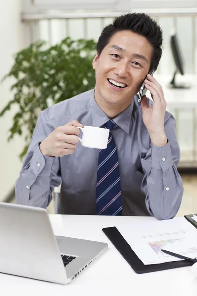 Hombre de negocios usando portátil —  Fotos de Stock