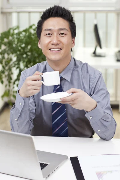 Homem de negócios usando laptop — Fotografia de Stock