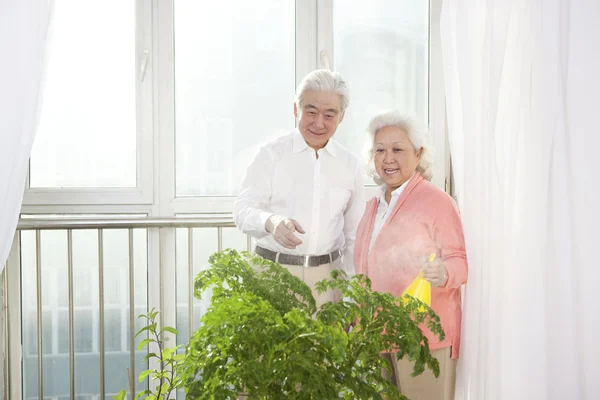 Portret van een ouder paar — Stockfoto