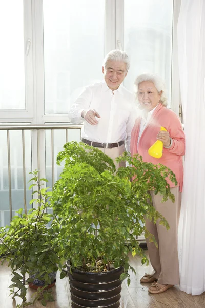 Seniorenpaar im Porträt — Stockfoto