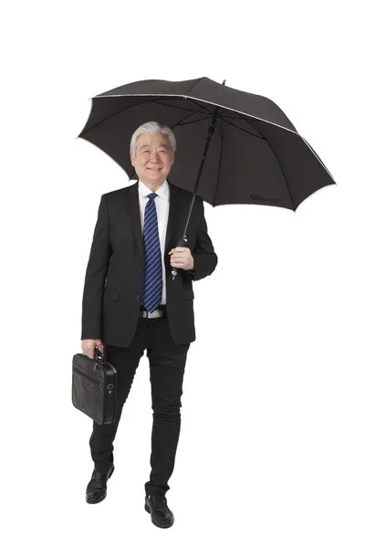 Senior affärsman med portfölj — Stockfoto