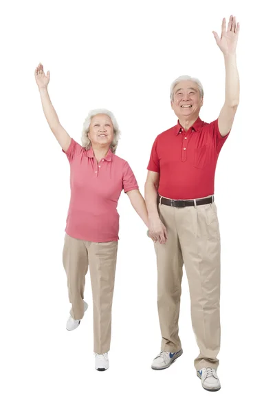 Portrait of senior couple — Stock Photo, Image