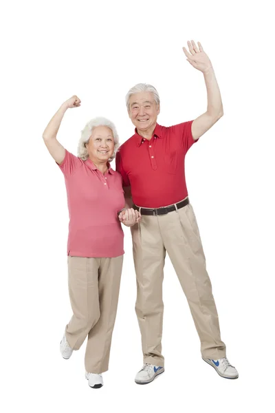 Porträtt av äldre par — Stockfoto