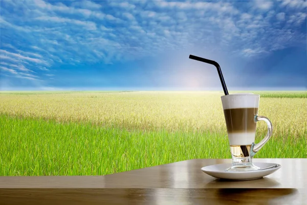 Pirinç tarlası manzaralı, gece kahvesi bardakta..