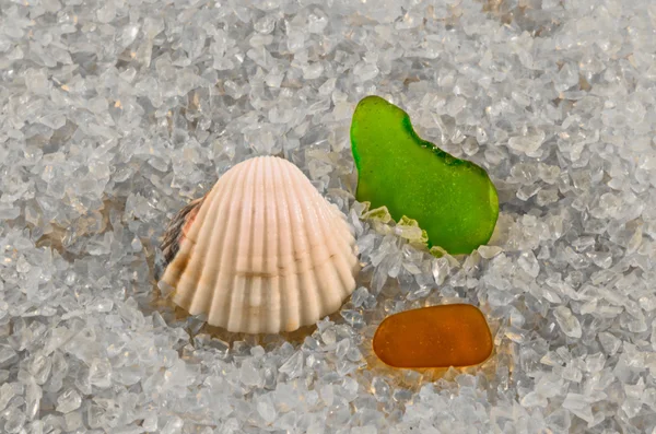 Clam and glasses — Stock Photo, Image