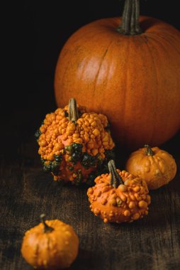 Karanlık bir arka planda balkabakları. Yüksek kalite fotoğraf