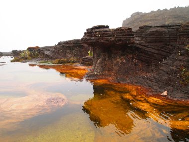 Canaima Ulusal Parkı. Venezuela.