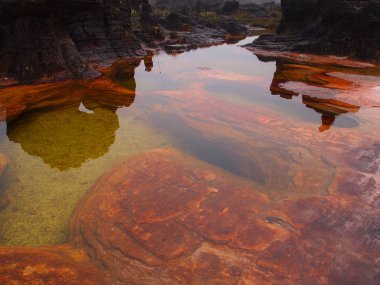 Canaima Ulusal Parkı. Venezuela.