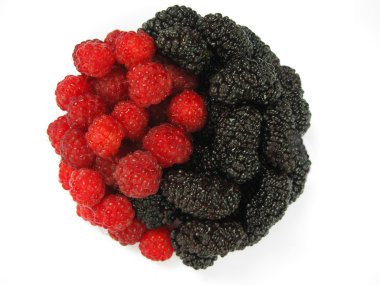 Kırmızı Ahududu ve kara dut. yin yang