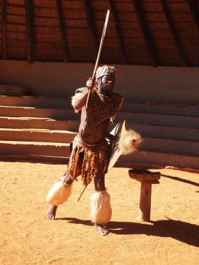 Zulu man depicting warrior. April 18, 2014. KwaZulu-Natal, South clipart