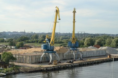 bağlantı noktası Vinçler