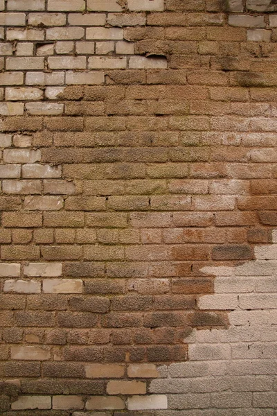 Brick wall — Stock Photo, Image