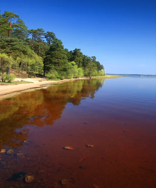 Lake shore — Stock Photo, Image