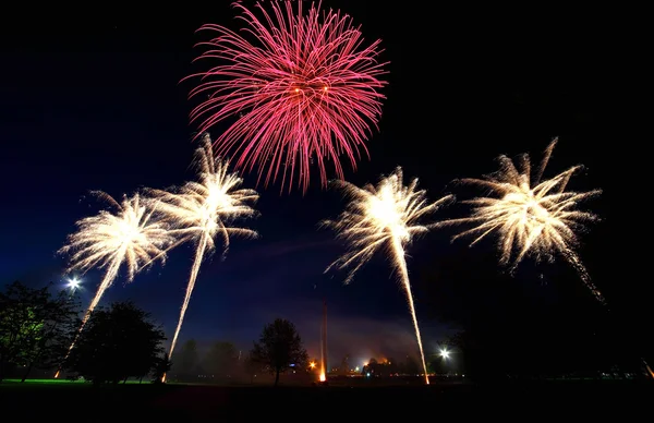 Vuurwerk 's nachts — Stockfoto