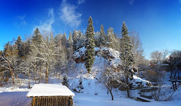 Paesaggio panoramico invernale — Foto Stock