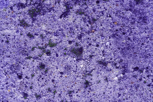 Violet concrete — Stock Photo, Image