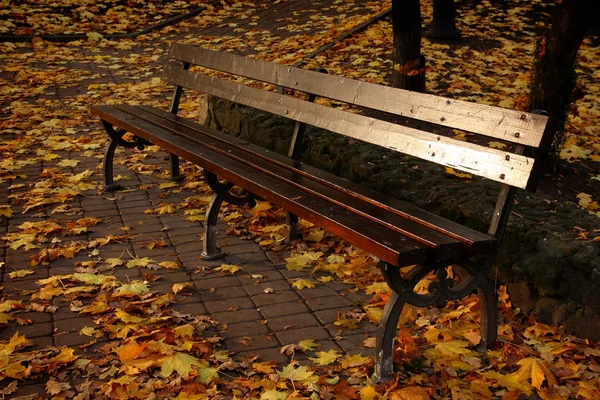 Bench in autumn park — Stock Photo, Image