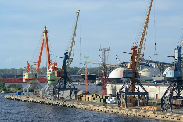 Port cranes — Stock Photo, Image