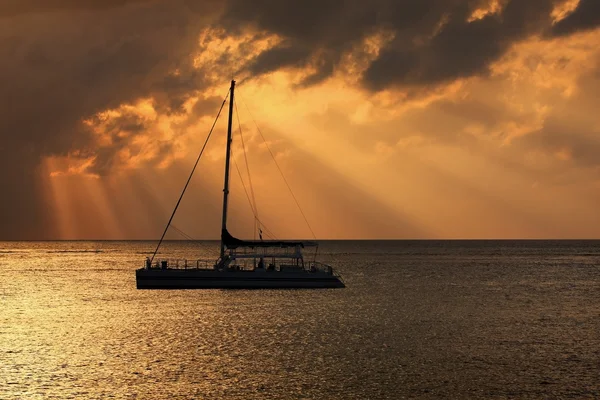 Catamaran silhouet — Stockfoto