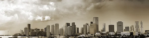Miami şehir merkezi