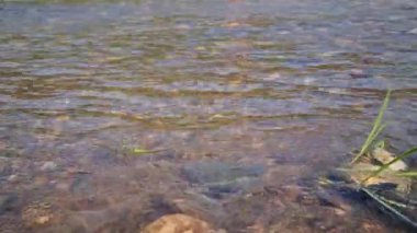 4k water flow from the dam