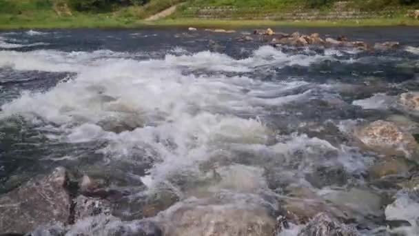 Rapid Stream Flow Dam — Video Stock