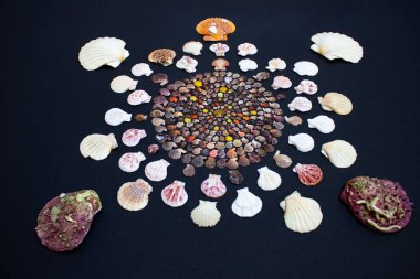 Deniz kabuğu mandala. Tekrarlanamaz mandala, kırılganlık