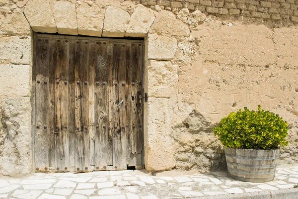 Cellar door — Stock Photo, Image