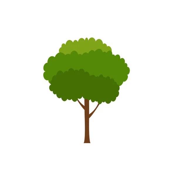 緑の木 白い背景の様々な形 様々な木のセット 庭園や家のデザインを飾るための木 — ストックベクタ