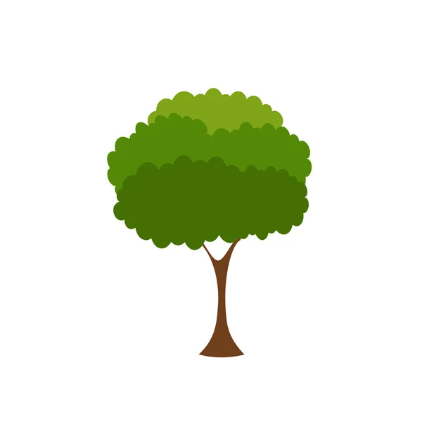Árvore Verde Uma Variedade Formas Fundo Branco Conjunto Vários Conjuntos —  Vetores de Stock