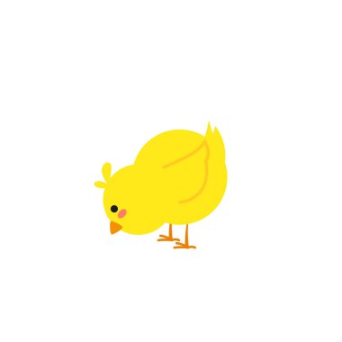 Yumurtadan çıkan küçük yavru kuş yumurtlayan tavuk yuvasında çatlak kabuk, yumurtadan çıkan tavuk aşamaları. Yeni doğmuş küçük tatlı piliç, Paskalya piliçleri konsepti.