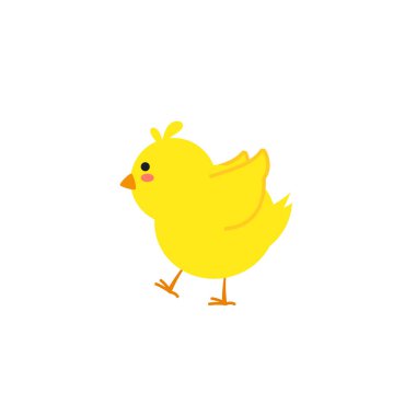 Yumurtadan çıkan küçük yavru kuş yumurtlayan tavuk yuvasında çatlak kabuk, yumurtadan çıkan tavuk aşamaları. Yeni doğmuş küçük tatlı piliç, Paskalya piliçleri konsepti.