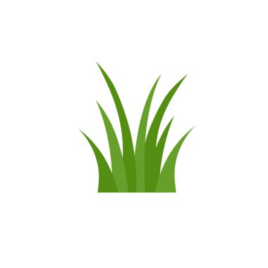 Beyaz Arkaplanda Yeşil Çimen, Çiçekler